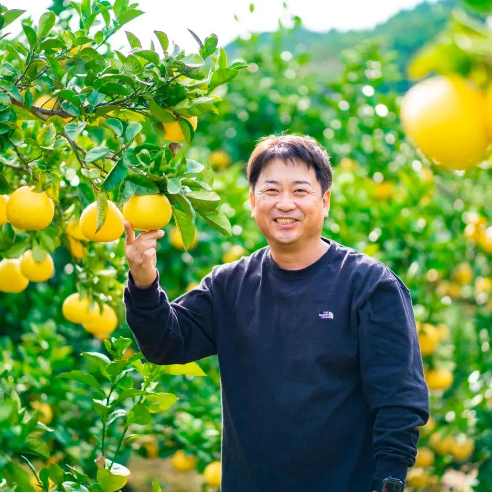 【3回定期便】園主こだわりの土佐文旦　10キロ（18〜24玉） 〈2027年2月・3月・4月発送〉 先行予約 高知県 土佐市【やの一果彩】[BQAC010]
