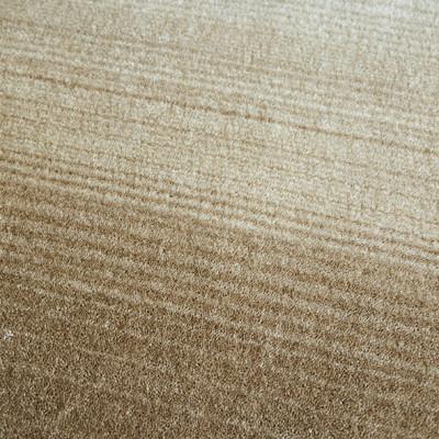 ふるさと納税 和泉市 【190×240cm】ペットと一緒に 過ごせる ラグ (マールII) カラー:アイボリー |  | 03