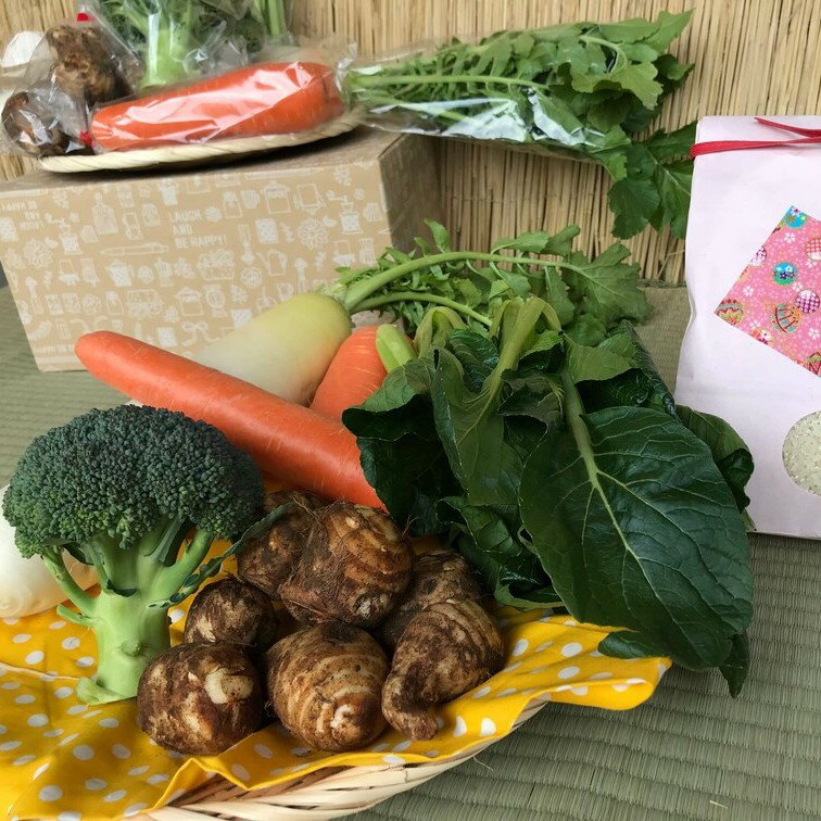 【ふるさと納税】＜栽培期間農薬不使用＞ 白米2kgと季節の野菜 4～5品 自然栽培 野菜 旬 セット 詰め合わせ 神栖市 茨城県 送料無料【2025年9月より順次発送開始】