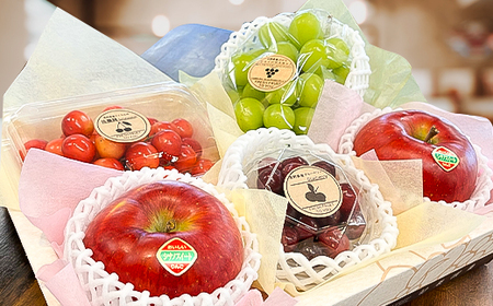 「産地より信州中野の旬をお届け♪」 高丘フルーツの長野県産「旬のフルーツ詰め合わせ」(Lサイズ)【配送不可地域：離島】【1408642】