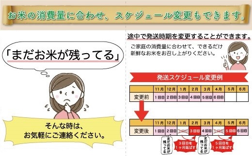 ＜令和6年産米＞ 令和7年1月下旬より配送開始 雪若丸【無洗米】60kg定期便(10kg×6回)　大蔵村