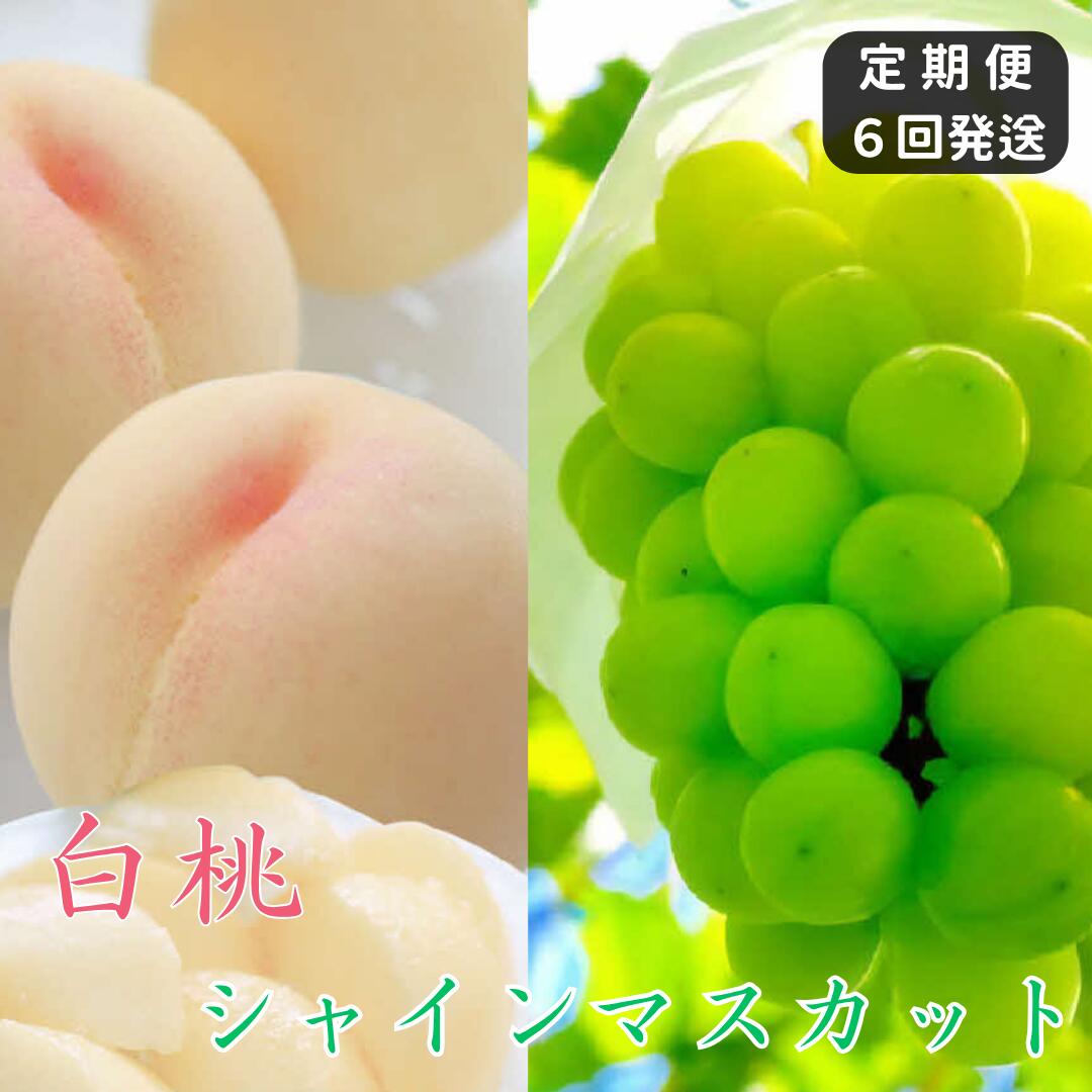 【ふるさと納税】白桃 シャインマスカット 晴王 定期便 6回発送 白桃3回 ぶどう3回 岡山県産 御中元 ギフト 御礼 プレゼント 御礼 御祝 御供 果物 くだもの フルーツ　土-22