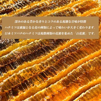 ふるさと納税 太宰府市 太宰府百花蜜 日本ミツバチ 国産蜂蜜100% 140g×2個 |  | 01