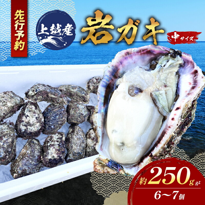 【ふるさと納税】【先行予約】上越産天然岩ガキ　中サイズ（約220～250g）6～7個 海産物　2025年7月中旬以降順次発送　お届け：2025年7月中旬～8月中旬まで