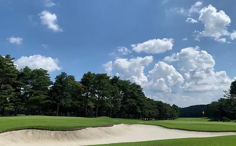 平日限定 嵐山カントリー倶楽部 ゴルフプレー券 3名様 カントリークラブ ゴルフ 利用券 体験 ゴルフ場 お土産 昼食 キャディー スポーツ コンペ ゴルフコンペ 運動 2グリーン 利用チケット 送料