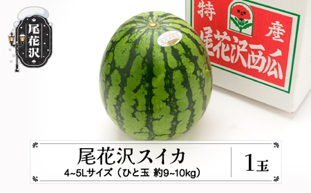 先行予約 尾花沢スイカ 4~5Lサイズ(約9~10kg)×1玉 7月下旬~8月中旬頃発送 令和7年産 2025年産 農産センター すいか 西瓜 ※沖縄・離島への配送不可 ns-su45x1