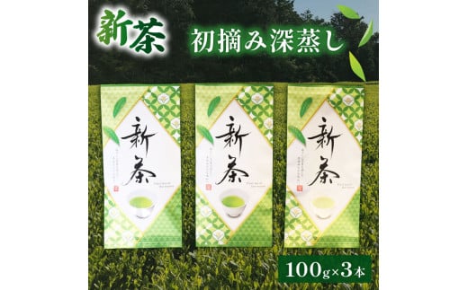 新茶 100g × 3本セット 化粧箱 入り 初摘み 深蒸し 煎茶 緑茶 お茶 ギフト 贈答  茶葉 常温 保存 便利 お試し 静岡 沼津 母の日 父の日
