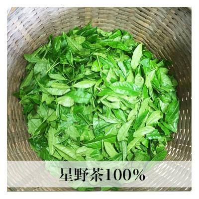 ふるさと納税 遠賀町 【2025年産・新茶ギフト】星野村の八女茶 飲みくらべ3本セット 化粧箱入り(遠賀町) |  | 02