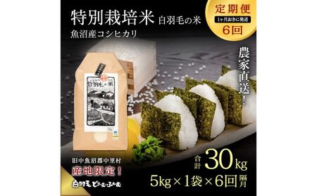 【通年受付】≪令和7年産 ≫【定期便／1ヶ月おき全6回】農家直送！魚沼産コシヒカリ特別栽培「白羽毛の米」精米(5kg×1袋)×6回 30kg お米 白米 ご飯 