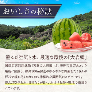 甘くて 果肉 たっぷり！ 大岩 こだま スイカ 1玉 「 神秘の里 大岩郷 よりお届け 長州の紅い宝石 」 先行予約 ＜ 2026年 7月下旬 ～ 8月頃 発送予定 ＞