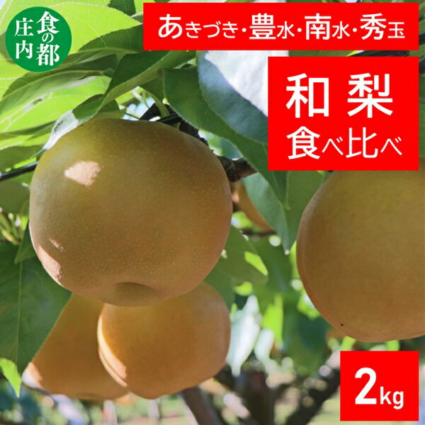 【ふるさと納税】食の都庄内　庄内の和梨【2品種】食べ比べ　約2kg　※9月中旬ごろより順次配送（有限会社庄内旬青果）