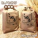 【ふるさと納税】定期便 米 ひのひかり ヒノヒカリ 10kg×6回 日本遺産 菊池川 玉名 熊本 送料無料