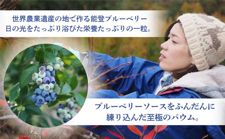 全国バウムクーヘン総選挙1位獲得！ツキトワバウムクーヘン 食べ比べ2個セット【スイーツ お菓子 お土産 バームクーヘン 手土産 おやつ デザート お取り寄せグルメ 人気 送料無料 セット おすすめ ギ