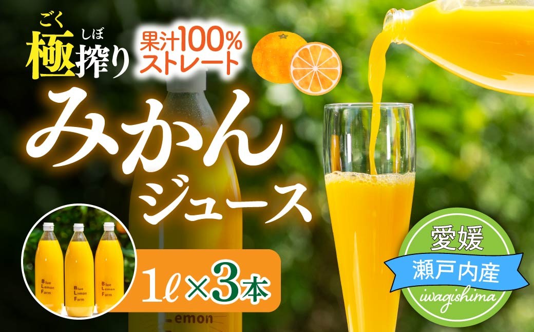 
                  ブルーレモンファーム ごくしぼりみかんジュース 1L 3本 国産 みかん ジュース 柑橘 蜜柑 ミカン ジュース 飲料 ドリンク 温州みかん 添加物不使用
                