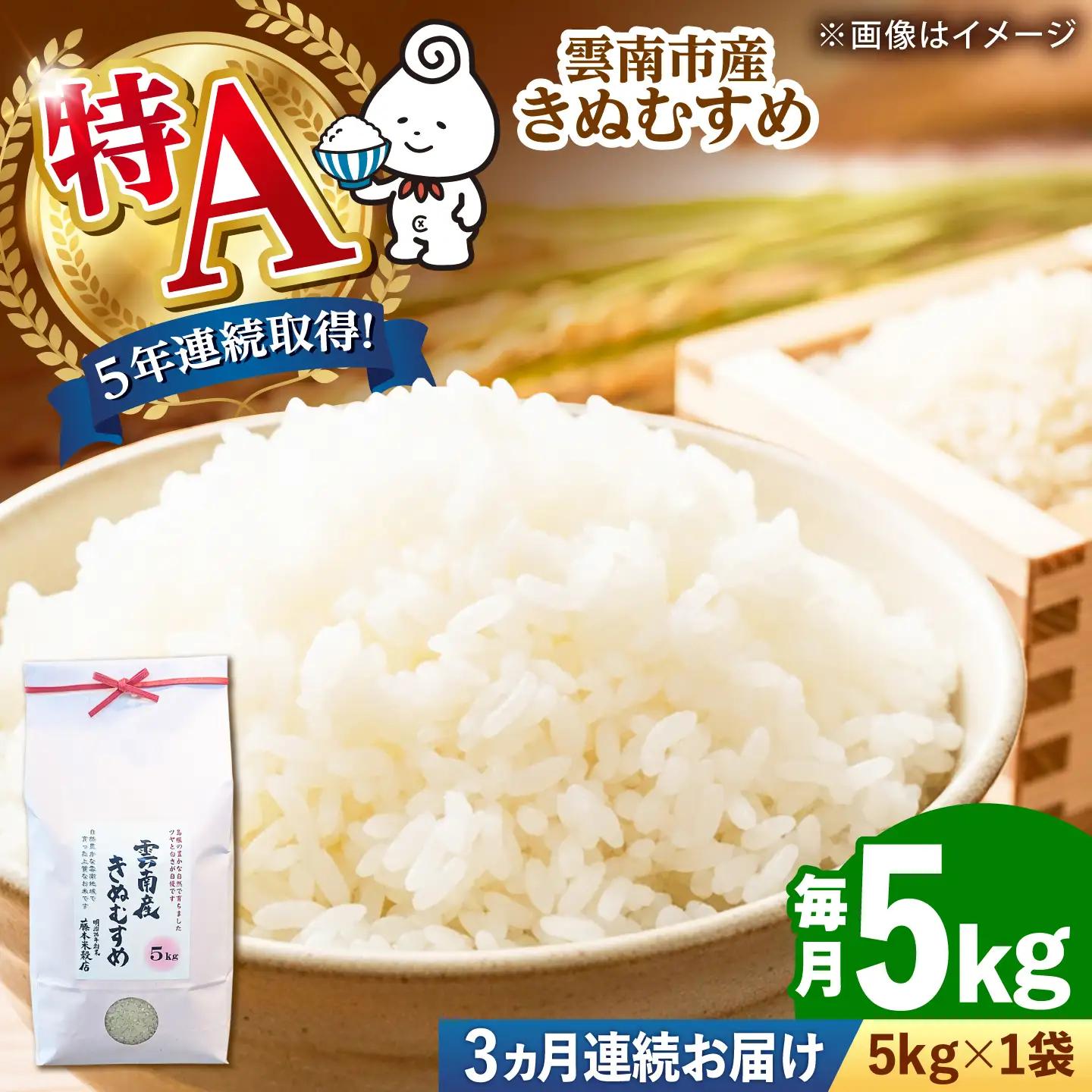 【令和8年産】【全3回定期便】雲南市産きぬむすめ 5kg [AIDB102-r8]新米