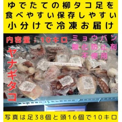 ふるさと納税 白老町 浜ゆでたこ 計10kg　北海道白老町産