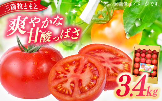 三箇牧とまと（高槻産）約3.4kg（20〜28玉入り） 野菜 トマト 新鮮 三箇牧とまと 野菜不足 限定 大容量 野菜 やさい トマト サラダ おかず 野菜 トマト 新鮮 三箇牧とまと 野菜不足 限定 大容量 野菜 やさい トマト サラダ おかず 大阪府高槻市/株式会社ミートモリタ屋[AOAI015]