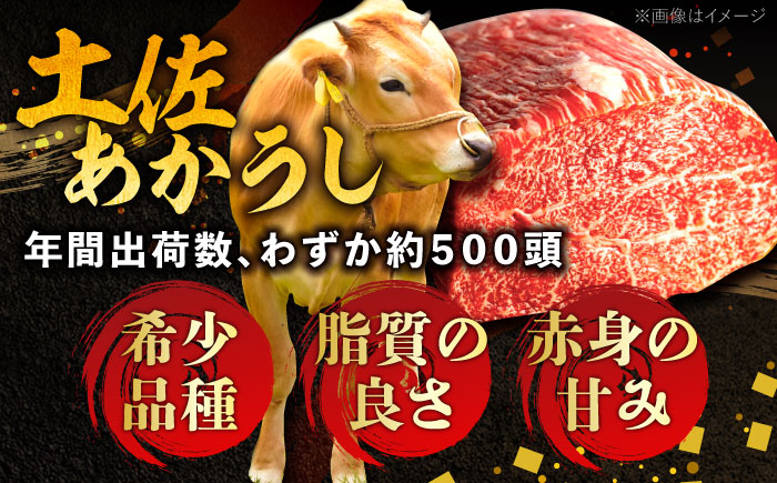 土佐あかうしカレー（パウチ） 2食セット/レトルト カレー あか牛 土佐あかうし 牛肉 牛カレー 保存食 常備 人気 おすすめ 高知市  5000円以下 3000円【株式会社 四国健商】 [ATAF1