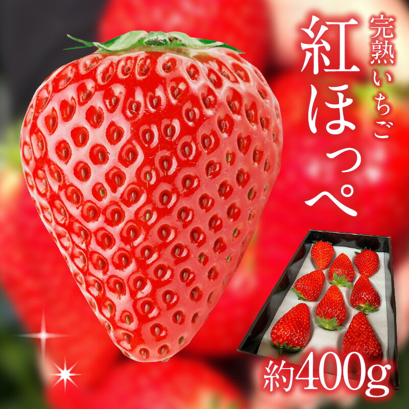 【ふるさと納税】苺香の完熟いちご「紅ほっぺ」