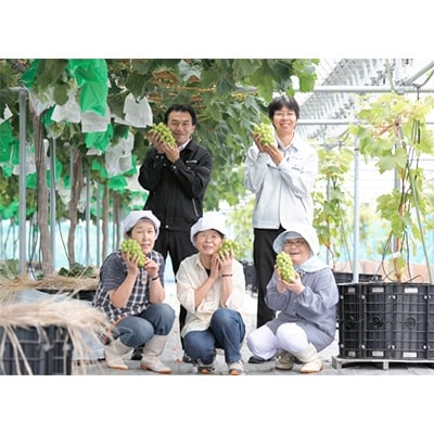 【2025年　秋発送分】～シャインマスカット～　2～3房(約1.1kg)Domaine MARUTA【配送不可地域：離島】