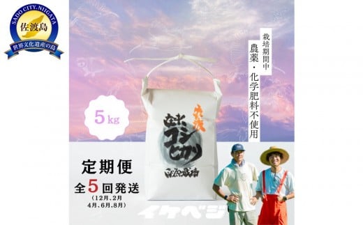 【定期便】新潟県佐渡産 令和7年産 【在来コシヒカリ】 白米 5kg×全5回