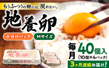3回定期便 最高級 卵 Mサイズ 40個＜垣山養鶏園＞ [CBB018] 卵