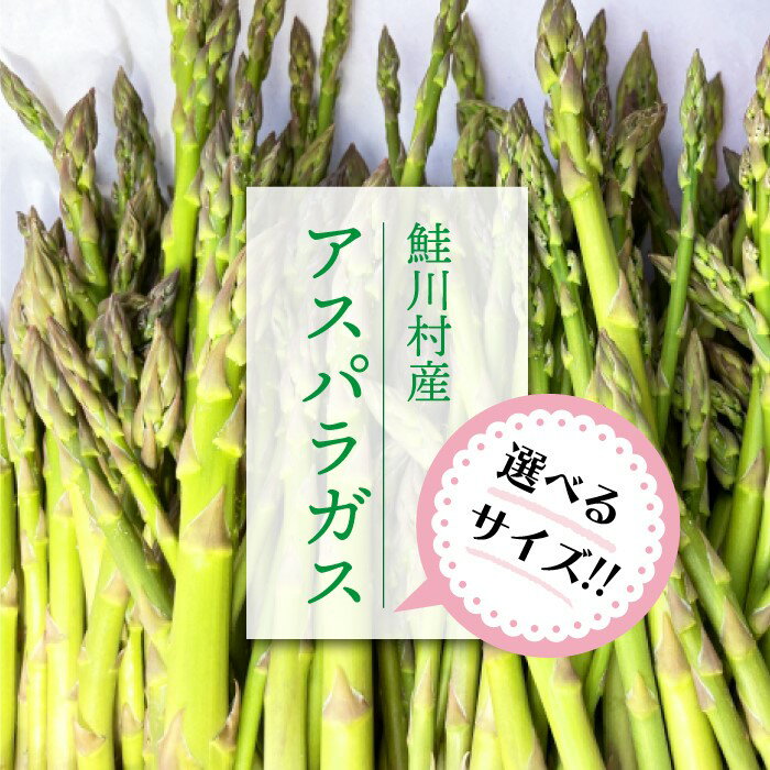 【ふるさと納税】 選べるサイズ！！　鮭川村産　アスパラガス