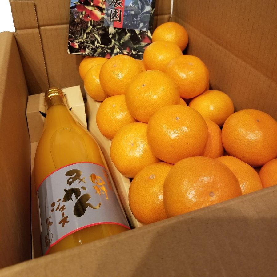 温州みかんＬサイズ3.5kgと田村みかんジュース1本セット