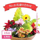 【ふるさと納税】【全6回定期便】1年中季節のお花が楽しめる！旬のお花盛り合わせ（2か月に1回お届け）　【11100-0735】