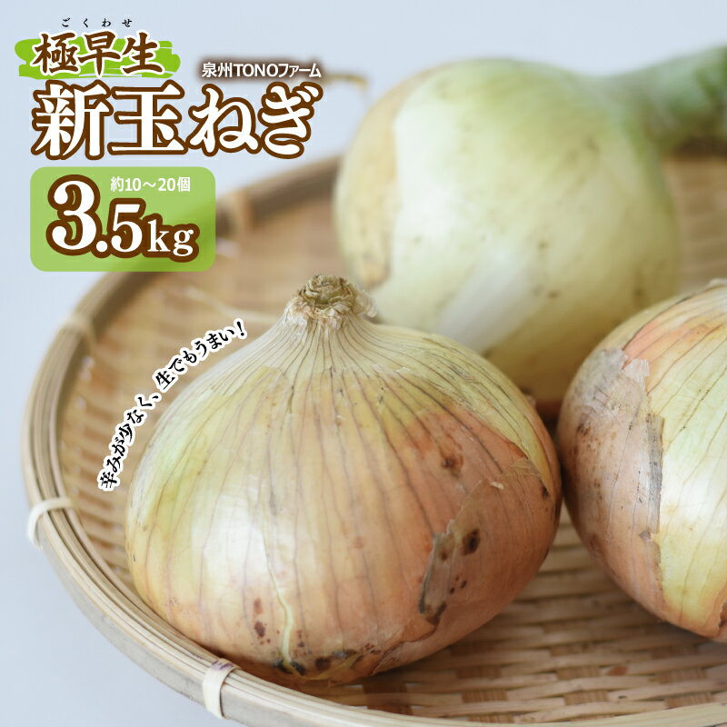 【ふるさと納税】【先行予約】 極早生 新たまねぎ 3.5kg 泉州TONOファーム