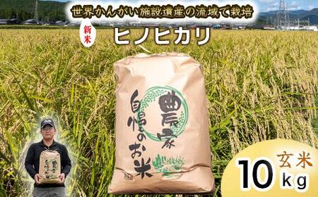 【 玄米　新米 】令和7年度産　ヒノヒカリ 八千種米　お米 10kg　ごはん　兵庫県産　世界かんがい施設遺産登録『西光寺野疏水路』