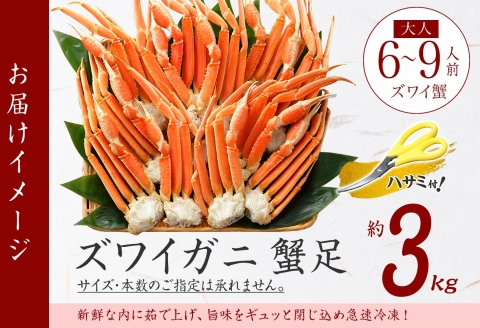 3332. ズワイガニ足 3kg 約6-9人前 専用ハサミ付 カニ かに 蟹 海鮮 送料無料 期間限定 数量限定 北海道 弟子屈町