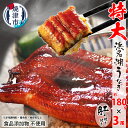 【ふるさと納税】 うなぎ 蒲焼 特大 食品添加物不使用 浜名湖産 約180g×3尾 肝焼 約50g×1 タレ 山椒付 化粧箱入 焼津 a30-283