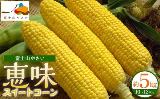
            とうもろこし 【数量限定】富士山やさい「恵味」とうもろこし(スイートコーン)（2025年8月上旬～発送）とうもろこし スイートコーン 富士山やさい 糖度 生食 野菜 セット 詰合せ 産地直送 お取り寄せ 甘み 農産物 旬の味 夏野菜 新鮮 国産
          