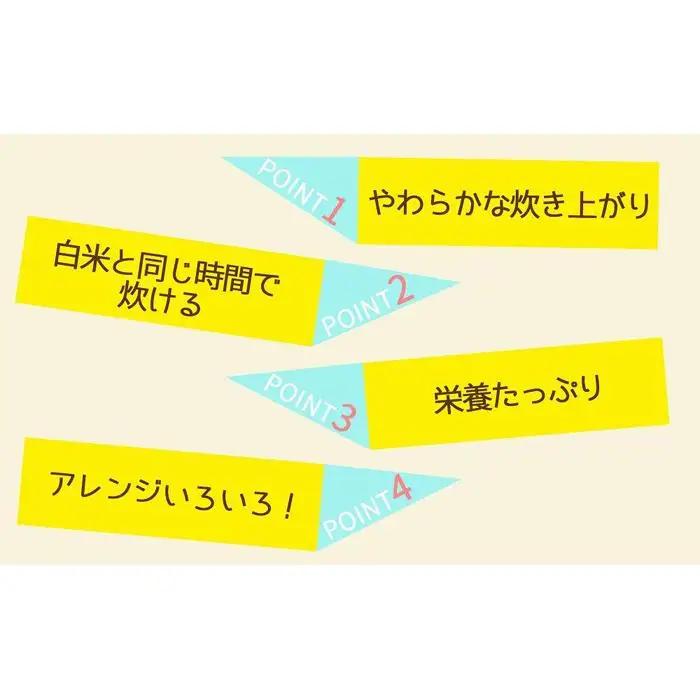 【定期便全6回】【栄養機能食品】白米と同じように炊けるやわらかい玄米 新潟県産コシヒカリ 900g×4袋（受注の翌月から毎月配送）
