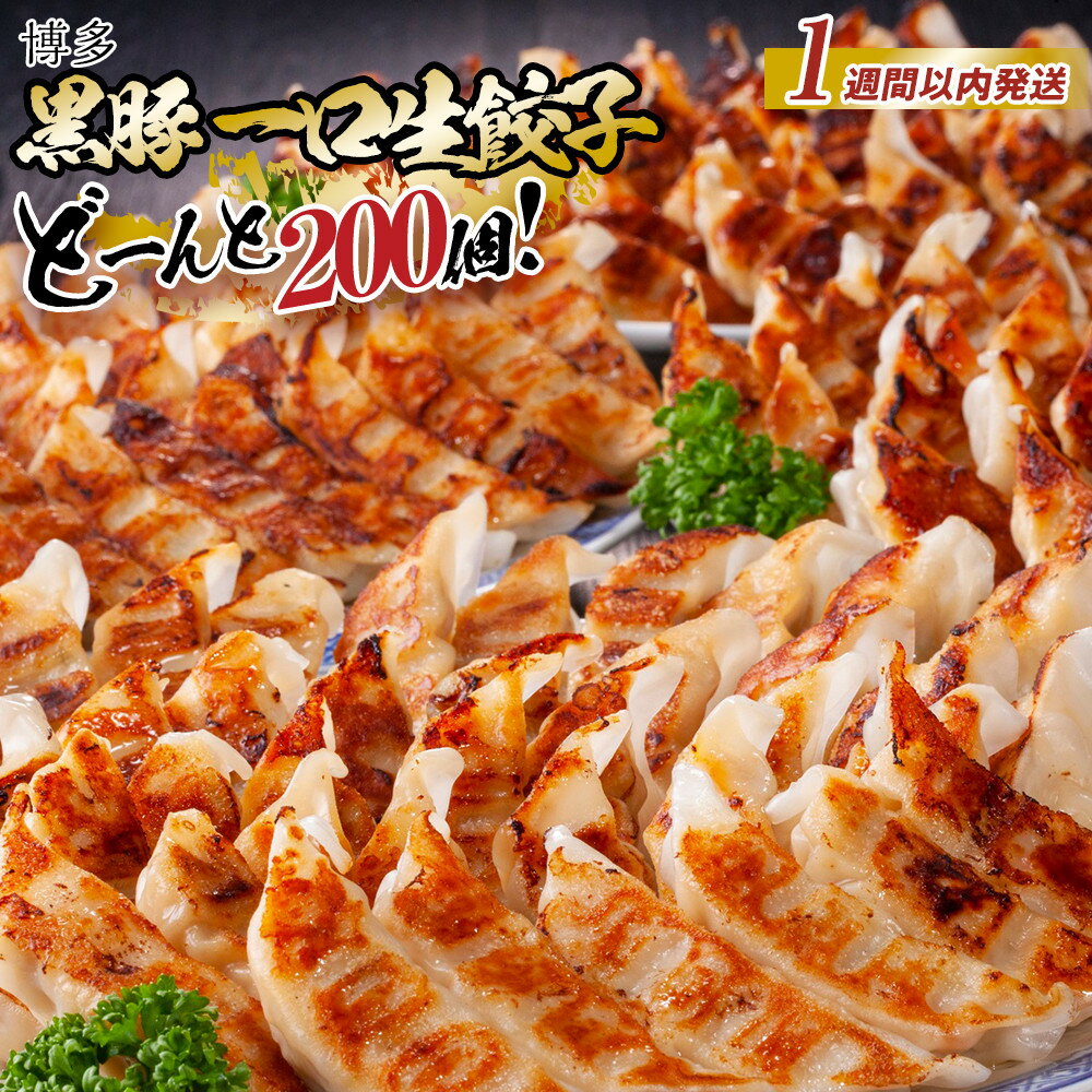 博多黒豚一口生餃子 200個入 (8パック) 冷凍便