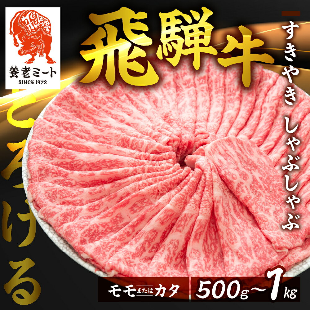 【ふるさと納税】飛騨牛 モモもしくはカタ すき焼きしゃぶしゃぶ用500g 1kg 精肉 牛肉 和牛 黒毛和牛 飛騨牛 すきやき すきやき しゃぶしゃぶ
