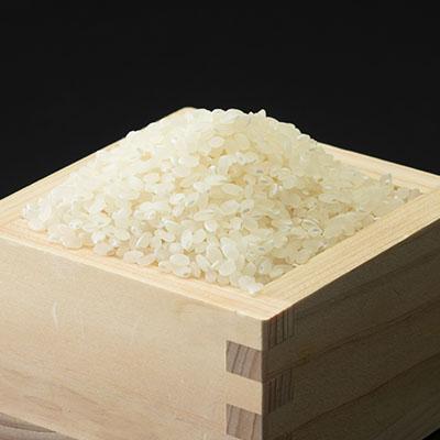 ふるさと納税 須賀川市 【地元ブランド】令和6年産岩瀬清流米(精米　20kg) |  | 02