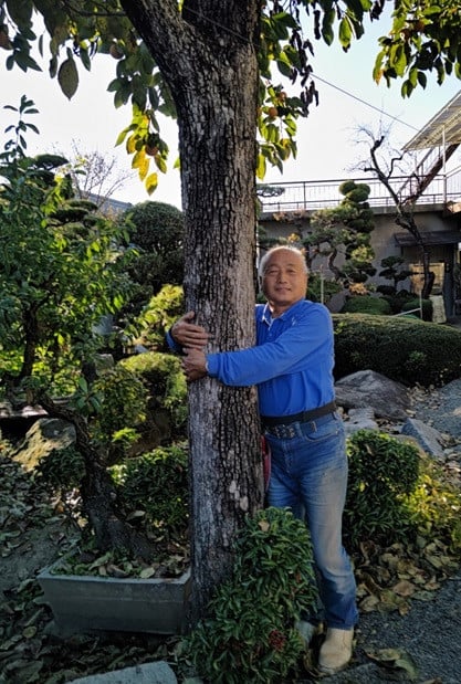 見て下さい、庭の齢約200年生の柿の木と内田フルーツ農園の私です。幼いころからほとんど太っていない柿の木です。