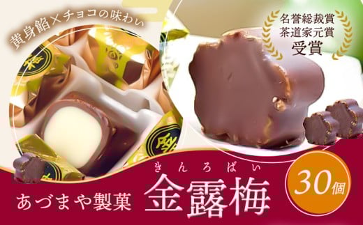 和菓子 黄身餡子 チョコレート 金露梅 30個 あづまや製菓有限会社 《30日以内に出荷予定(土日祝除く)》 徳島県 美馬市 阿波 郷土銘菓 自家製黄身餡 チョコ 名誉総裁賞 茶道家元賞 贈り物 お茶請け