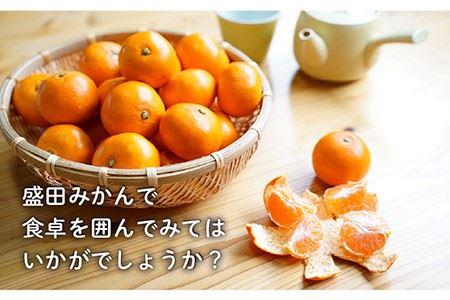 【数量限定】盛田みかん Sサイズ 約5kg（50-60個前後）ー2025年12月より発送ー 長与町/山口農園 [EBI001] 盛田 もりた みかん 温州みかん みかん 長崎みかん 長与みかん