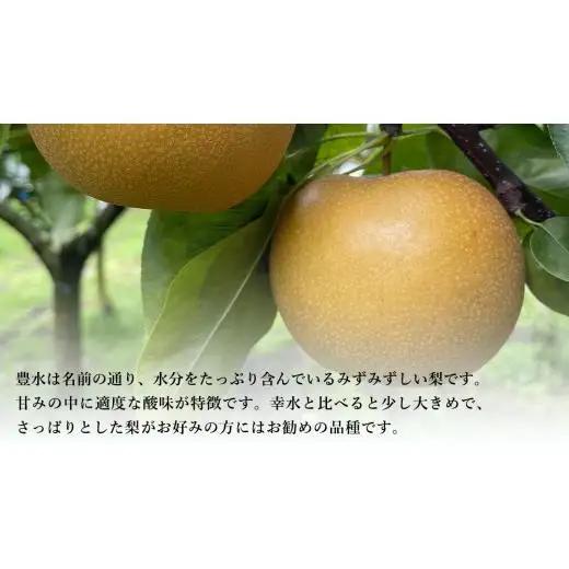 【 先行予約 】茨城県産 梨 豊水 約3kg 7玉～9玉 ( 茨城県共通返礼品 : 常陸太田市 )【 2026年 9月上旬頃より発送 】