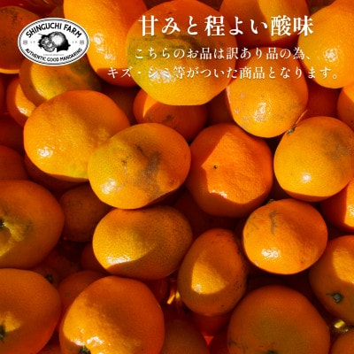 【創業108年】愛媛みかんの老舗【訳あり みかん8kg】新口農園【C70−55】【1549450】
