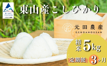 【先行予約】【定期便】令和8年産 コシヒカリ 精米5kg×3ヶ月（毎月） お米 白米 こしひかり｜石川県 小松市【元田農産】