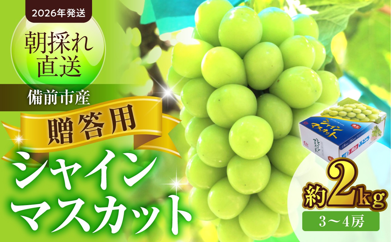 
                  【2026年発送】備前市産 贈答用シャインマスカット 約2kg（8月中旬～9月中旬頃発送）【シャインマスカット ぶどう 葡萄 ギフト フルーツ 果物 のし不可 贈答用 備前市産 晴れの国おかやま】
                