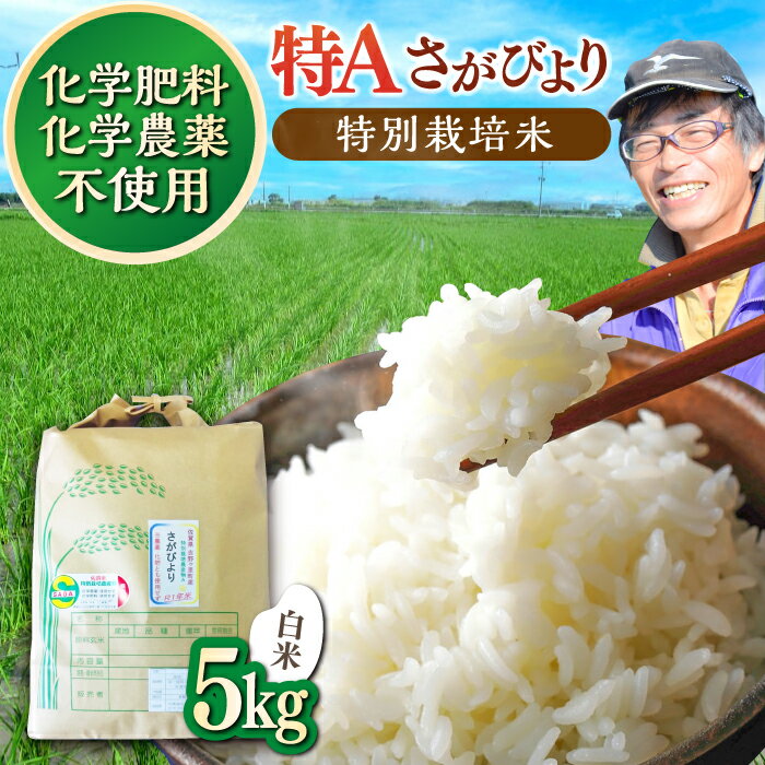 【ふるさと納税】【数量限定｜R7年産】佐賀県産 特別栽培米（Aランク）さがびより【白米】5kg×1袋 吉野ヶ里町/種まきの会 [FBO016]