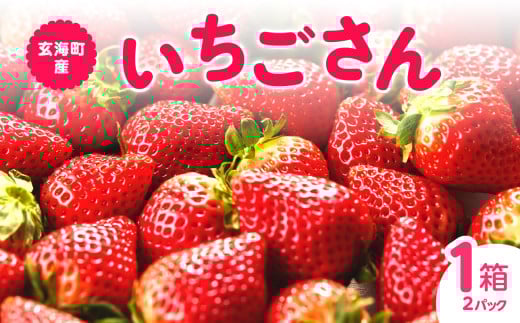 ★予約受付★平川いちご農園 佐賀県玄海町産「いちごさん」2026年1月～4月までに順次配送