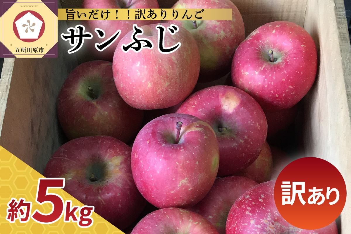 
【選べる配送時期】12月 1月 訳あり りんご サンふじ 5kg 青森
