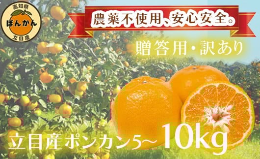 
                  【数量限定】 訳あり 立目産 ポンカン 5kg 10kg | ぽんかん 訳あり 秀品 家庭用 贈答用 おすすめ ランキング 産地直送 果物 フルーツ ふるさと納税みかん 柑橘 くだもの ミカン 果肉 蜜柑 人気 ふるさと納税 みかん ふるさと納税 果物 ふるさと納税 フルーツ 期間限定 国産 産地直送 果物類 果物の詰合せ みかん・柑橘類 みかん 高知県 須崎市 須崎  MO003-all
                