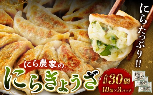 にら農家の『にらぎょうざ』 30個
